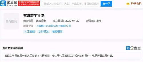 數據處理與存儲支持服務 數字化時代的核心保障